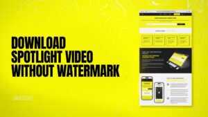 Download Spotlight Video Without Watermark
